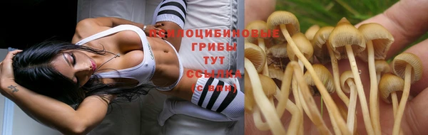 гашиш Пестово