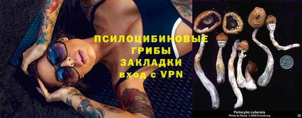 mdpv Балахна